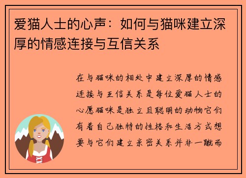 爱猫人士的心声：如何与猫咪建立深厚的情感连接与互信关系